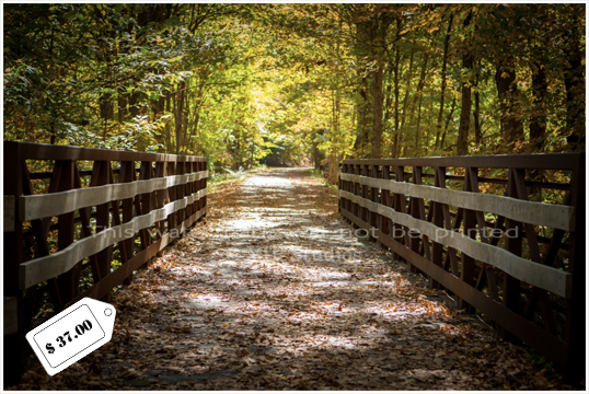 Farmington Trail _7743.png